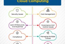 What are the security risks of cloud computing?