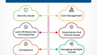 What are the security risks of cloud computing?