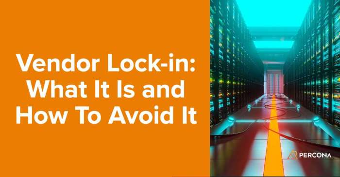 How can I avoid vendor lock-in? How can I avoid vendor lock-in?